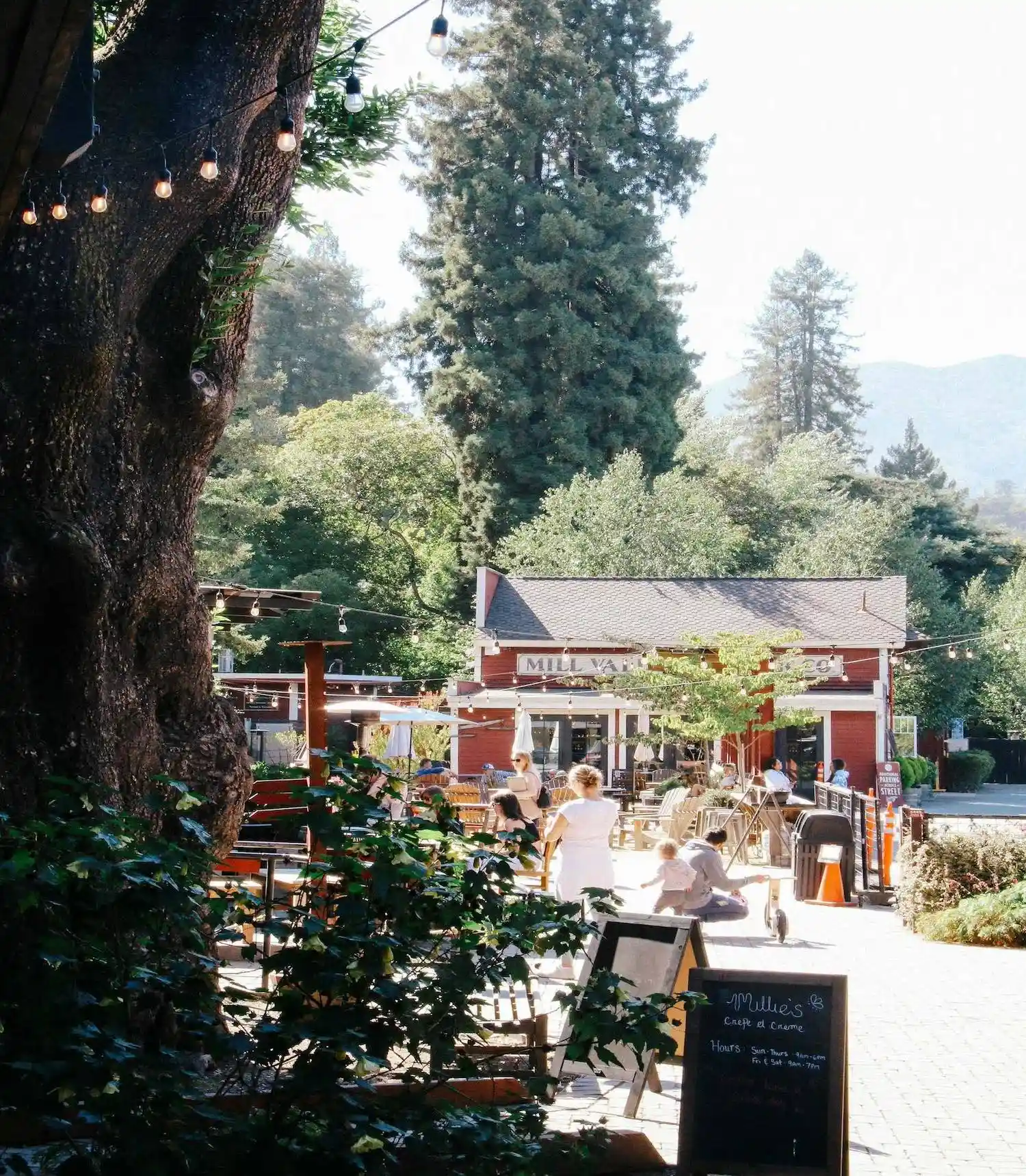 Mill Valley, CA